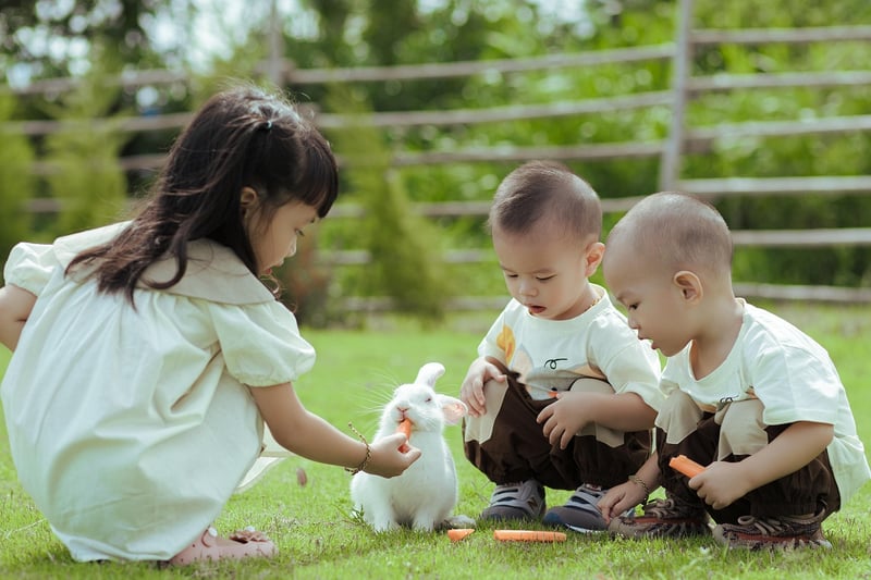 Pixie Picnics